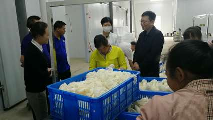 聚焦劳务就业扶贫 潘荣调研毕节七星关区、纳雍县家庭劳务服务发展